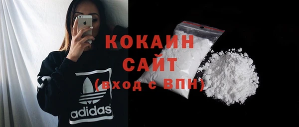 ALPHA PVP Осинники
