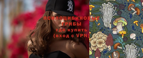 apvp Абинск